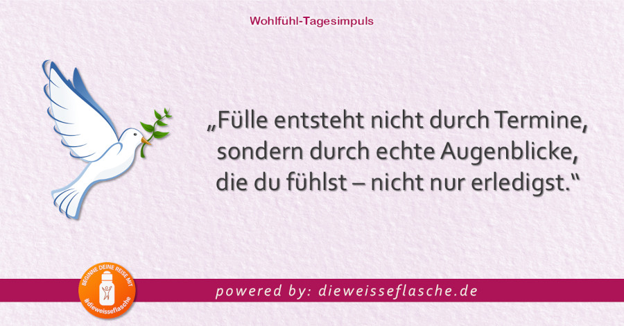 Dein Wohlfühl-Tagesimpuls powered by: dieweisseflasche.de